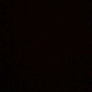 Meet your Posher, Carla